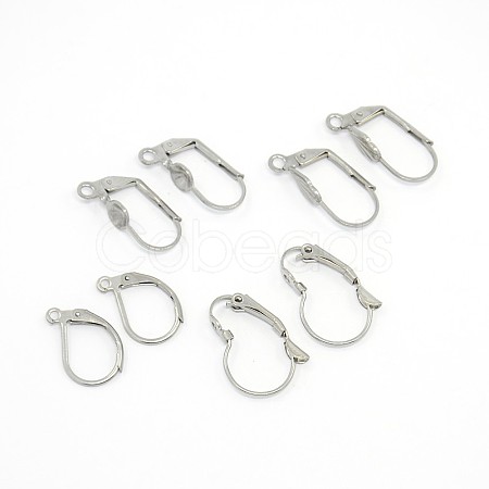 Mixed Style 304 Stainless Steel Leverback Earring Findings STAS-O033-M-1