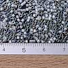 MIYUKI Delica Beads X-SEED-J020-DB1671-2