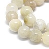 Natural Rainbow Moonstone Beads Strands G-O201A-17A-3
