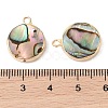 Natural Paua Shell Pendants SHEL-P017-23G-3