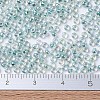 MIYUKI Round Rocailles Beads SEED-G007-RR0263-2