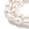 Natural Cultured Freshwater Pearl Beads Strands PEAR-P062-10H-4