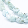 Natural Larimar Beads Strands G-K203-48-3