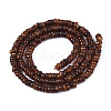 Natural Freshwater Shell Beads Strands SHEL-S278-067C-2