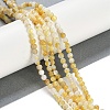 Natural Trochus Shell Beads Strands BSHE-H109-12B-2