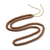 Natural Rudraksha Bodhi Seed Beads WOOD-G011-01D-2