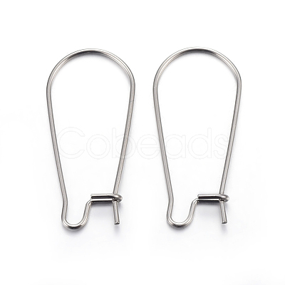 Tarnish Resistant 304 Stainless Steel Hoop Earring Findings STAS-P223-01P-04-1