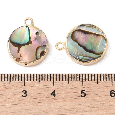 Natural Paua Shell Pendants SHEL-P017-23G-1