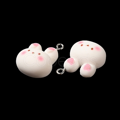 Cartoon Opaque Resin Pendants RESI-R440-02-1