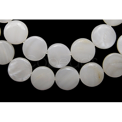 Natural Freshwater Shell Beads X-S00C20A2-1