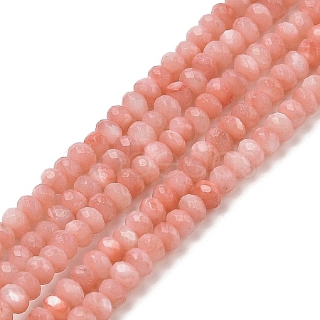 Natural Freshwater Shell Dyed Beads Strands SHEL-R100-13A-03-1