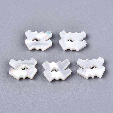 Natural White Shell Beads SSHEL-ZX004-02L-1