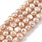 Natural Cultured Freshwater Pearl Beads Strands, Two Sides Polished, Grade 5A, Light Salmon, 4~5mm, Hole: 0.5mm, about 39pcs/strand, 7.09''(18cm)