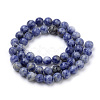 Natural Brazil Blue Spot Jasper Beads Strands G-S259-36-12mm-2