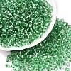 6/0 Baking Paint Transparent Glass Seed Beads SEED-N006-06K-1