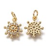 Brass Micro Pave Clear Cubic Zirconia Charms ZIRC-I051-02G-2
