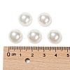 Shell Pearl Beads X-BSHE-N003-12mm-HC301-3