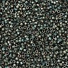 MIYUKI Delica Beads Small X-SEED-J020-DBS0324-3