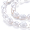 Natural Keshi Pearl Beads Strands PEAR-S020-T04-4