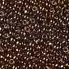 TOHO Round Seed Beads SEED-TR08-0421-2