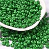 Baking Paint Glass Seed Beads SEED-B001-02A-05-1