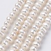 Natural Cultured Freshwater Pearl Beads Strands PEAR-D187-08-1