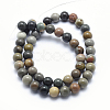 Natural Ocean Agate/Ocean Jasper Beads Strands G-G716-03-6mm-3