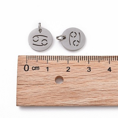 Non-Tarnish 304 Stainless Steel Charms STAS-Q201-T445-4S-1