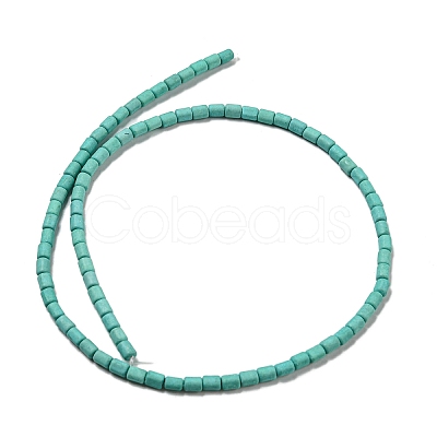 Dyed Synthetic Turquoise Beads Strands G-G075-A02-01-1