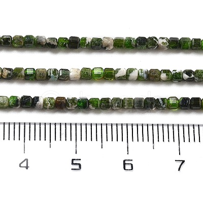 Natural Diopside Beads Strands G-G161-C23-01-1