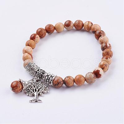 Natural Picture Jasper Stretch Bracelets BJEW-F262-A11-1