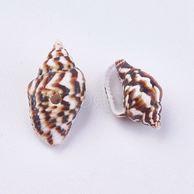 Shell Beads BSHE-P026-36-1