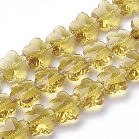 Transparent Glass Beads GLAA-Q066-14mm-C11-1