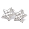 Tarnish Resistant 304 Stainless Steel Stud Earrings, Manual Polished, Star with Tartan Ear Studs for Women, Stainless Steel Color, 21x22mm