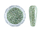 Shiny Nail Art Glitter Powder, with, DIY Sparkly Paillette Tips Nail, Light Green, 0.1~0..5x0.1~0.5mm, about 1g/box