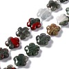 Natural African Bloodstone Beads Strands G-D475-02I-1