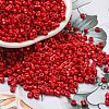 Baking Paint Glass Seed Beads SEED-S042-05A-33-1