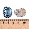 Natural Paua Shell Pendants SHEL-T020-12-3