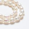Grade A Natural Cultured Freshwater Pearl Strands A23WM011-01-3