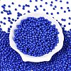 Opaque Colours Glass Seed Beads SEED-C001-02B-06-1