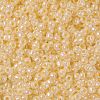 TOHO Round Seed Beads SEED-JPTR08-0901-2