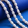 Grade A Natural Cultured Freshwater Pearl Beads Strands A23WB011-5