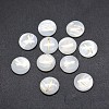 Shell Cabochons SSHEL-E568-B23-2