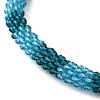 Glass Crochet Beaded Necklace NJEW-Z029-04G-3
