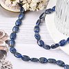 Natural Lapis Lazuli Beads Strands G-K311-01A-01-6