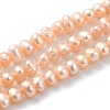 Natural Cultured Freshwater Pearl Beads Strands PEAR-F004-03-02-2