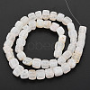 Natural Crackle Agate Beads Strands G-N326-99-B01-3