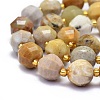 Natural Fossil Coral Beads Strands G-K306-A07-10mm-3
