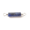 Natural Sodalite Connector Charms PALLOY-JF01574-01-4