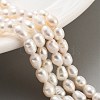 Natural Cultured Freshwater Pearl Beads Strands PEAR-P062-16B-2